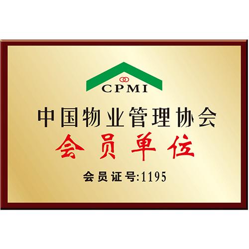 企业荣誉证书 6