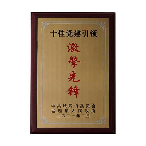 企业荣誉证书 10